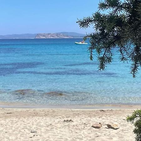 Apartamento Surf House Mirice Vignola Mare Exterior foto